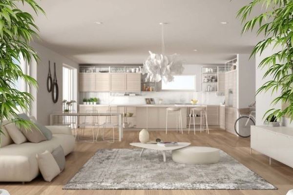 Feng Shui : Comment créer une harmonie parfaite dans votre logement