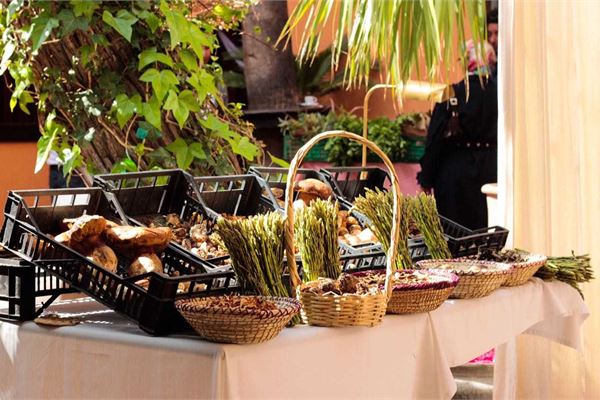 From Farm to Table: Organic Product Circuit Around Marrakech