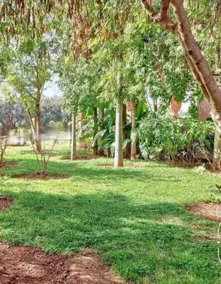 Terreni in vendita a Marrakech - Real DreamHouse