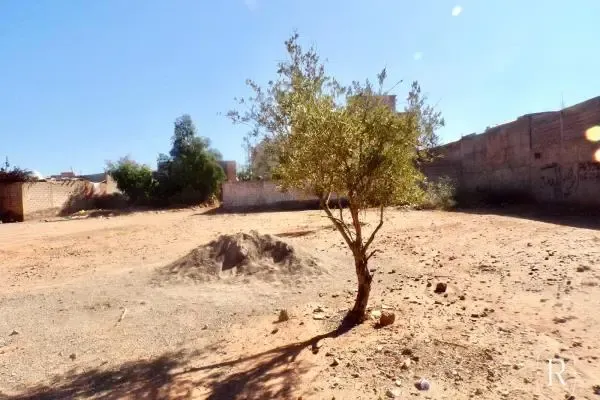 terrain titré de 800 M2 opportunité rare près de marrakech